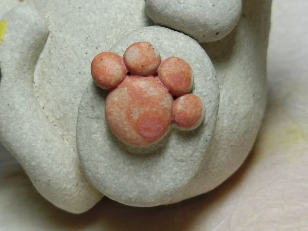 画像4: 小鳥と猫 三毛 (4)