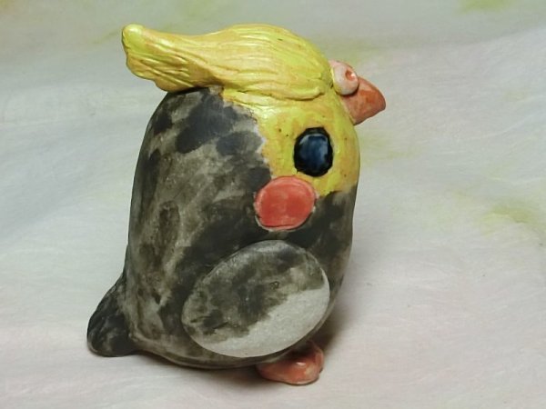 画像2: オカメインコ (2)