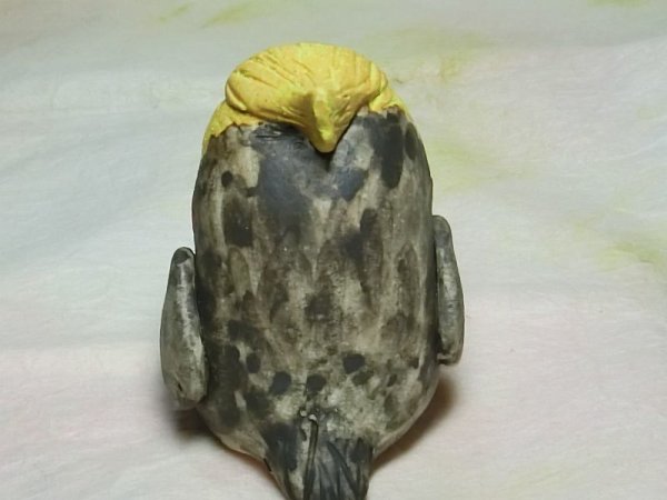 画像3: オカメインコ (3)