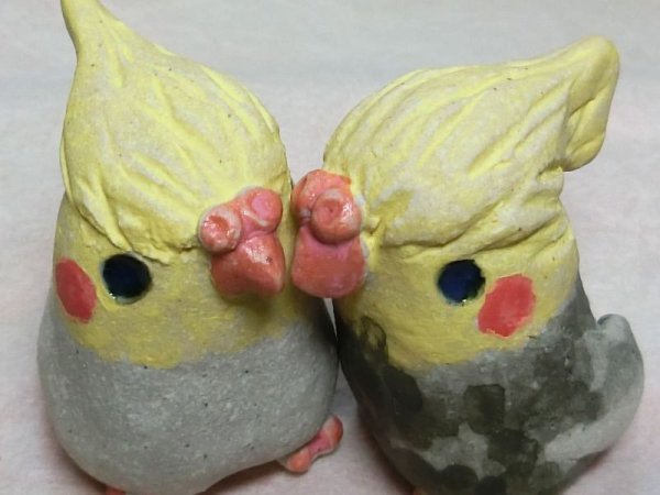 画像4: ちびオカメインコセット (4)