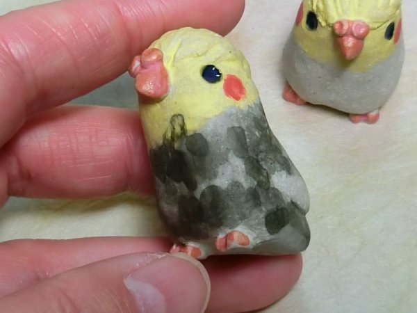 画像5: ちびオカメインコセット (5)