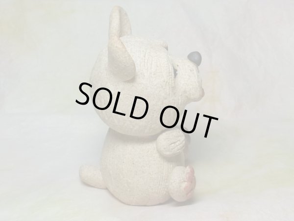 画像4: ノーリッチテリア (4)