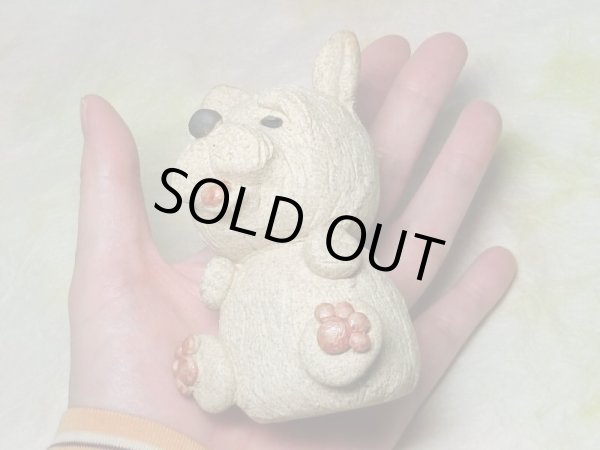 画像6: ノーリッチテリア (6)