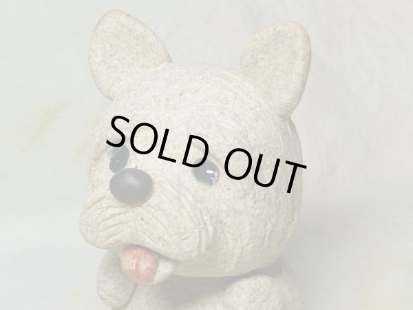 画像5: ノーリッチテリア (5)