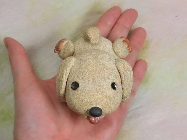 画像6: 走る！ゴールデンレトリーバー (6)