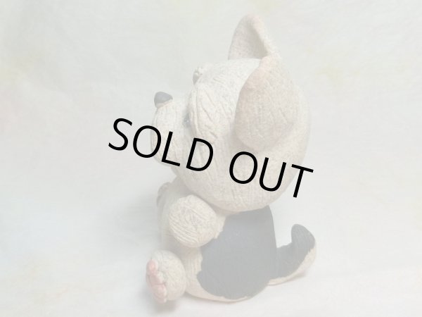 画像2: ヨークシャーテリア (2)