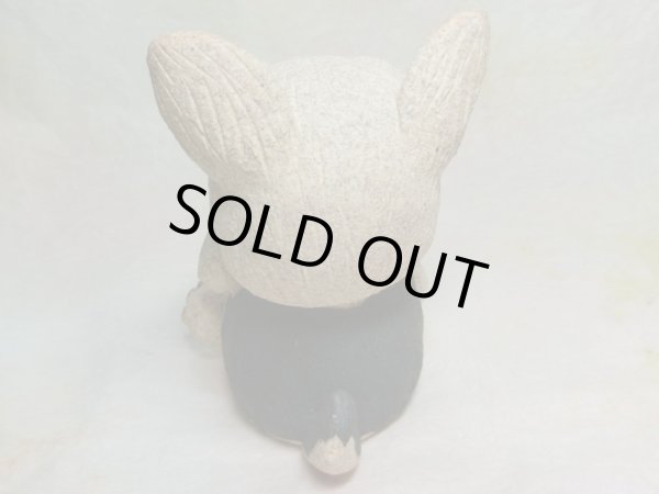 画像3: ヨークシャーテリア (3)