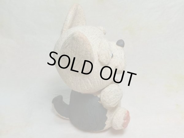 画像4: ヨークシャーテリア (4)