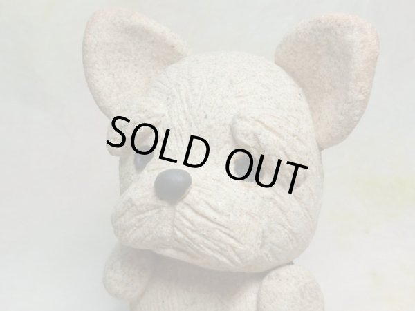 画像5: ヨークシャーテリア (5)