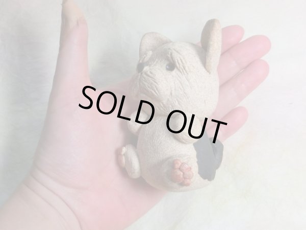 画像6: ヨークシャーテリア (6)