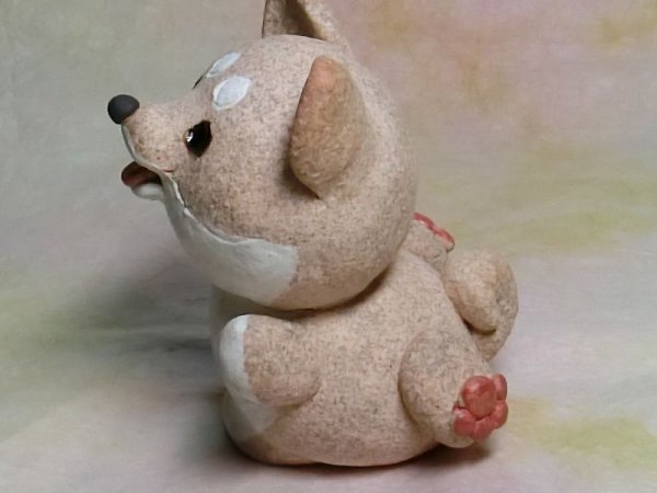 画像3: 頑張る柴犬 (3)