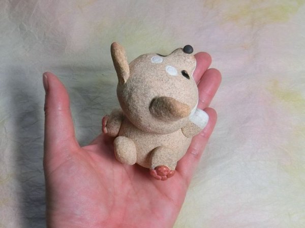 画像6: 頑張る柴犬 (6)