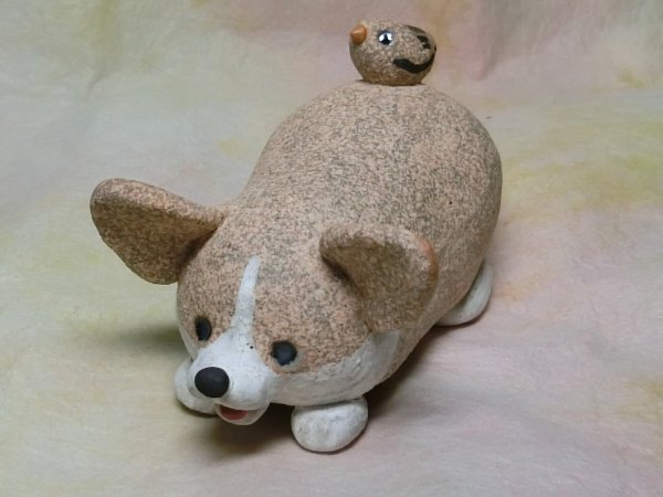 画像1: 伏せをしたコーギー (1)