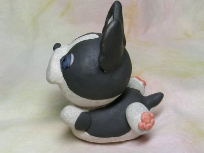 画像1: 駆け寄りボストンテリア