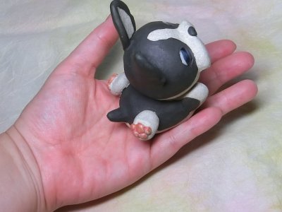 画像3: 駆け寄りボストンテリア