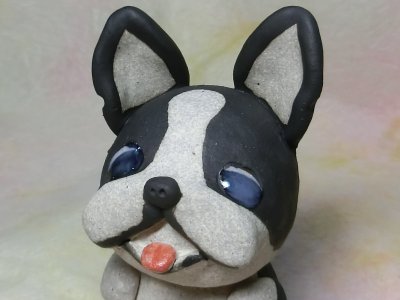 画像2: お座りボストンテリア