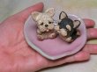 画像2: ちびヨークシャーテリアセット (2)
