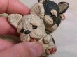 画像4: ちびヨークシャーテリアセット (4)
