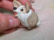 画像3: ちびコーギーセット (3)