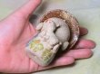 画像6: 幸せ馬だき笠地蔵（小） (6)